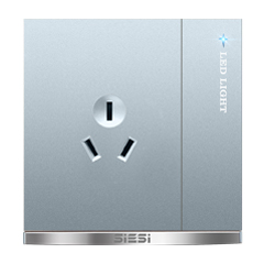 16A三极插座带（单/双）控开关