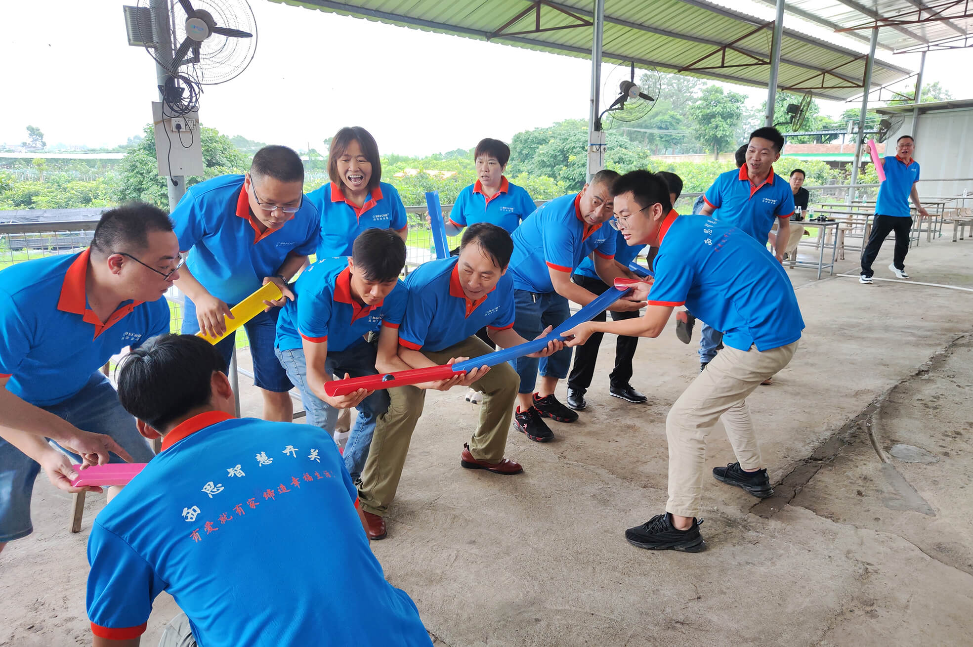 香港内部公开资料