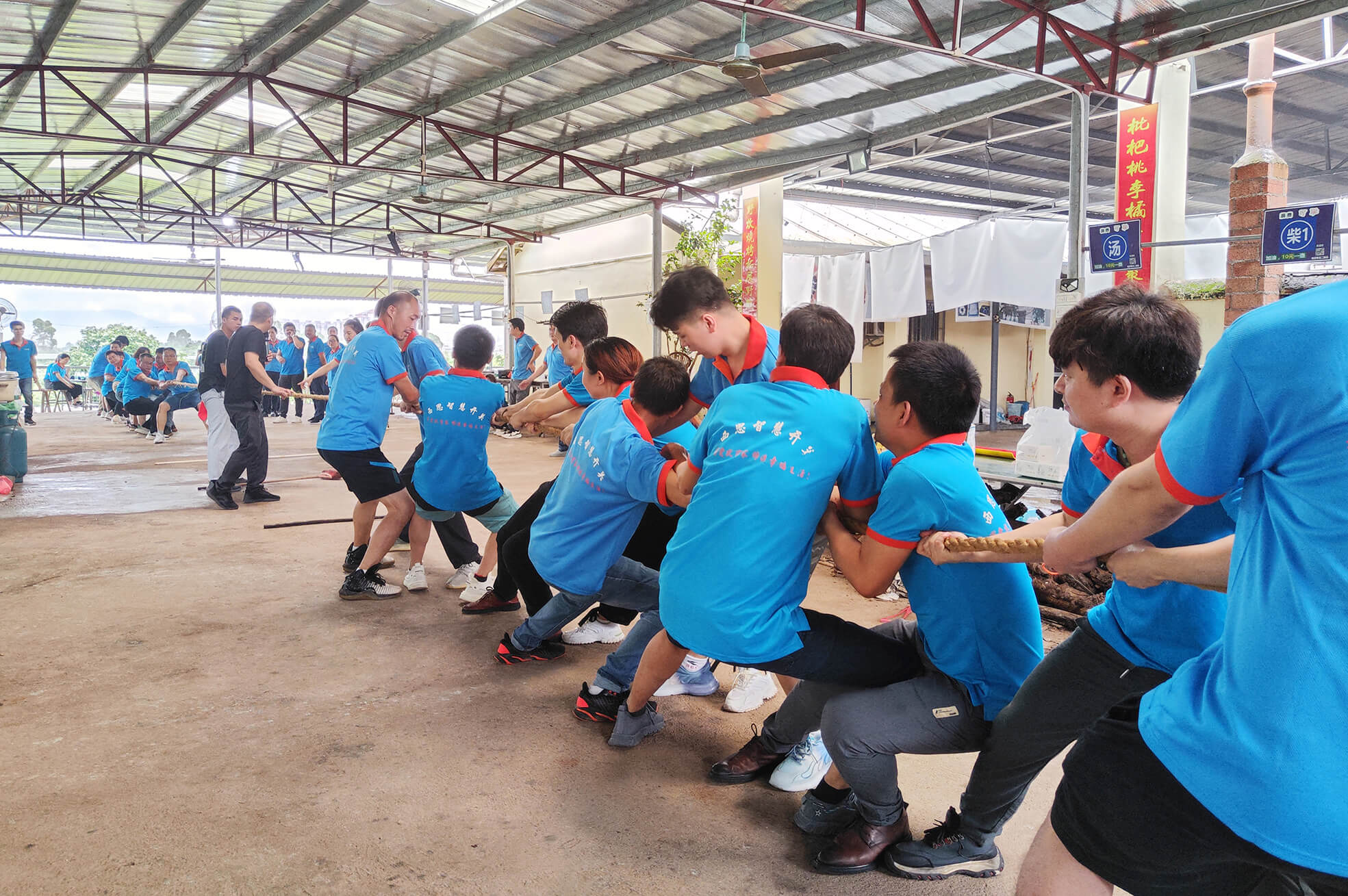 香港内部公开资料