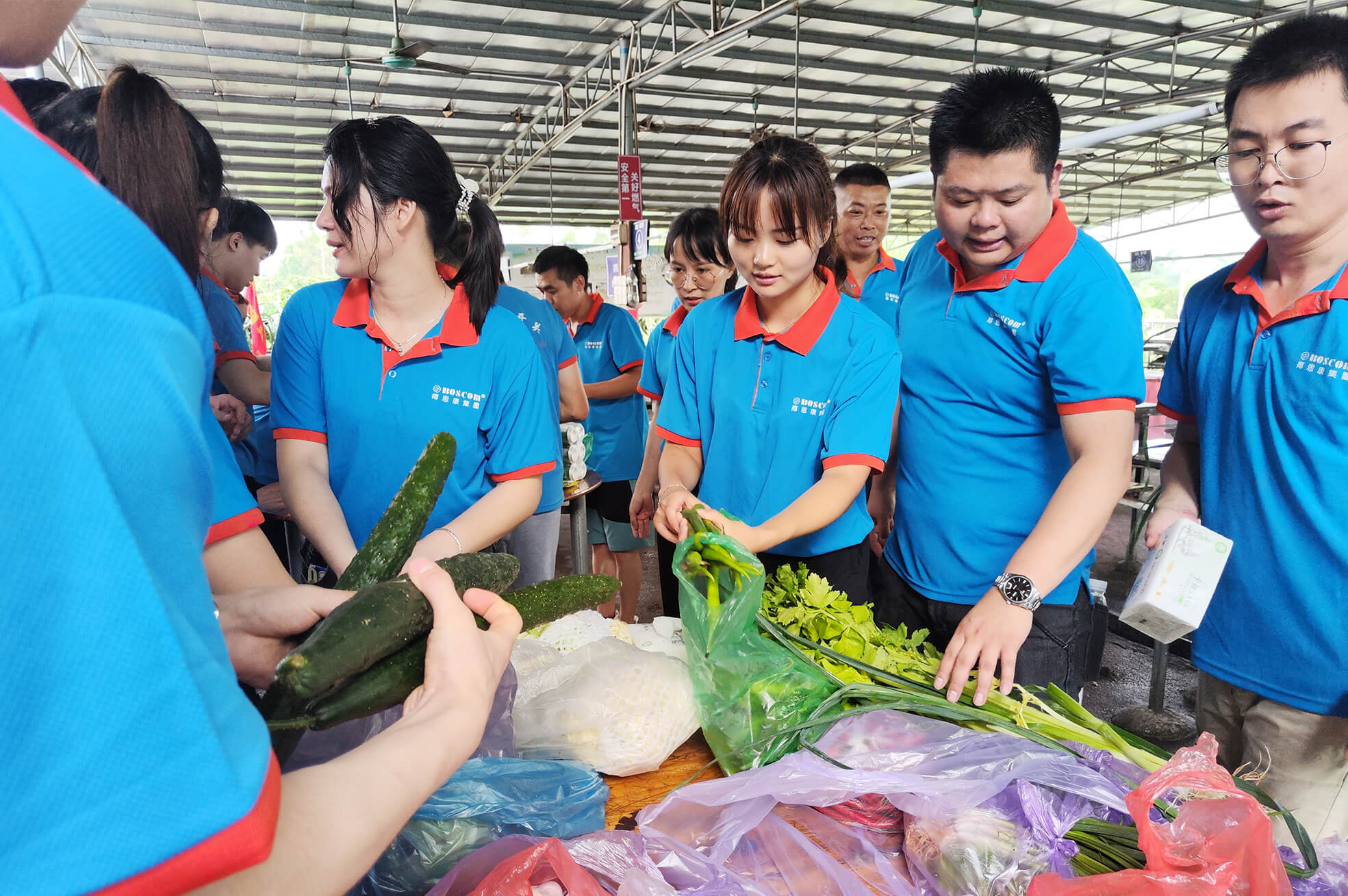 香港内部公开资料